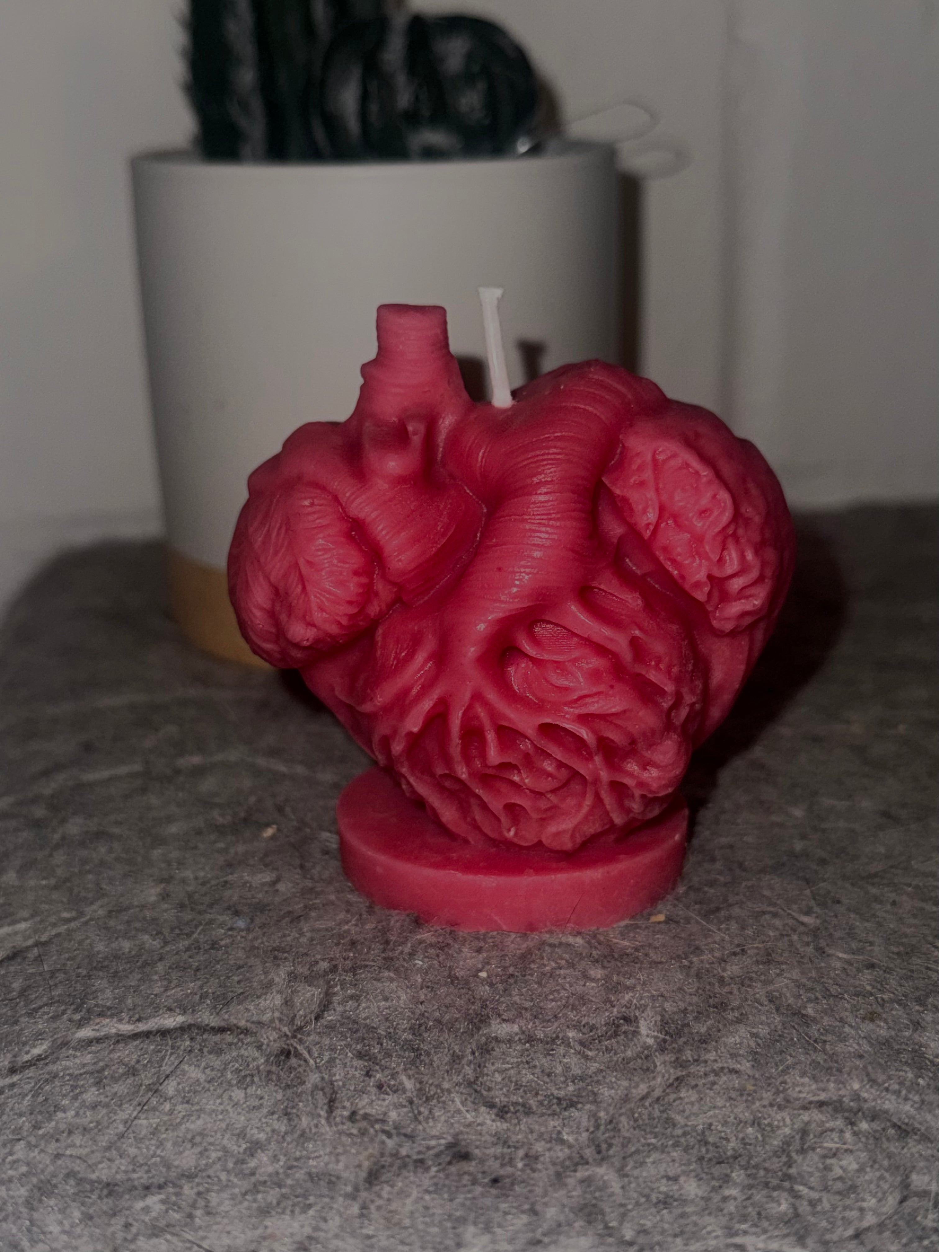 Anatomical Heart